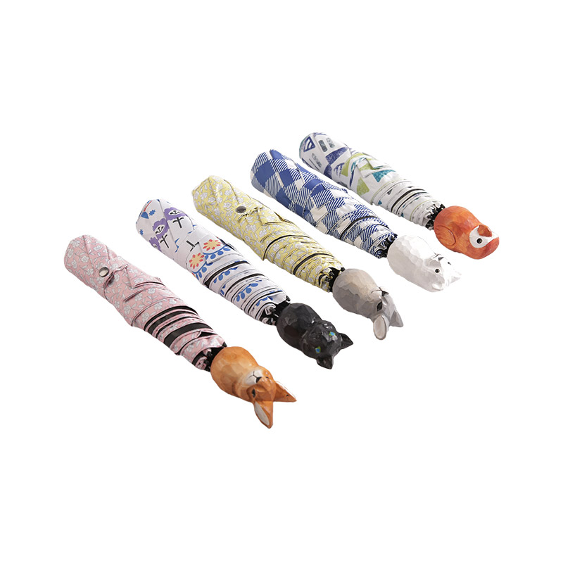 Papion, cerc, plasare, cu umbrelă în trei ori acoperită-0E6B0454