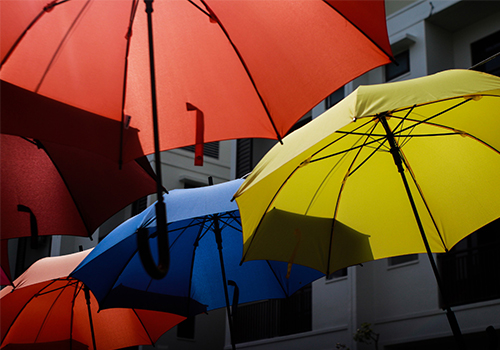 Analiza status quo-ului dezvoltării pieței industriei umbrelă